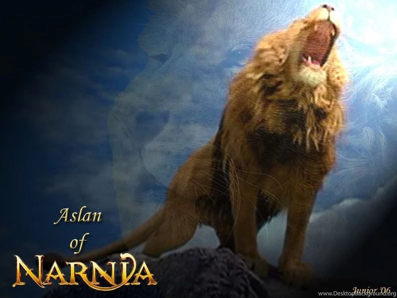 Aslan The Great   Aslan Wallpapers (20650188)   Fanpop