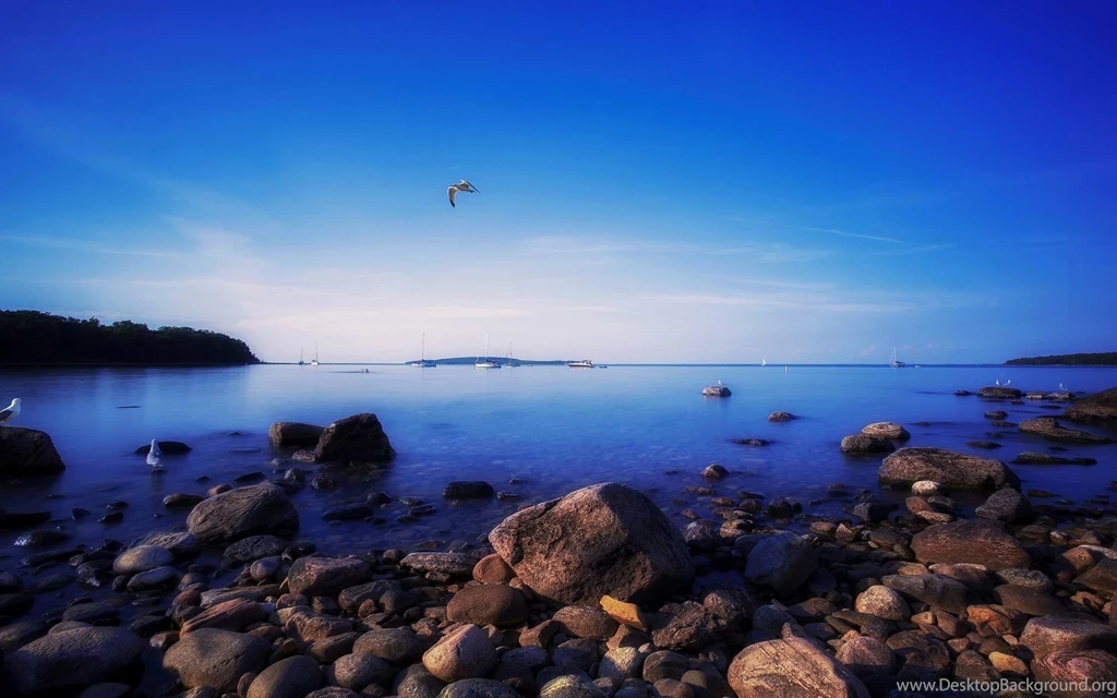 Macbook Pro Retina, Sky, Flying, Seagull, 1920x1200 HD Wallpapers ...