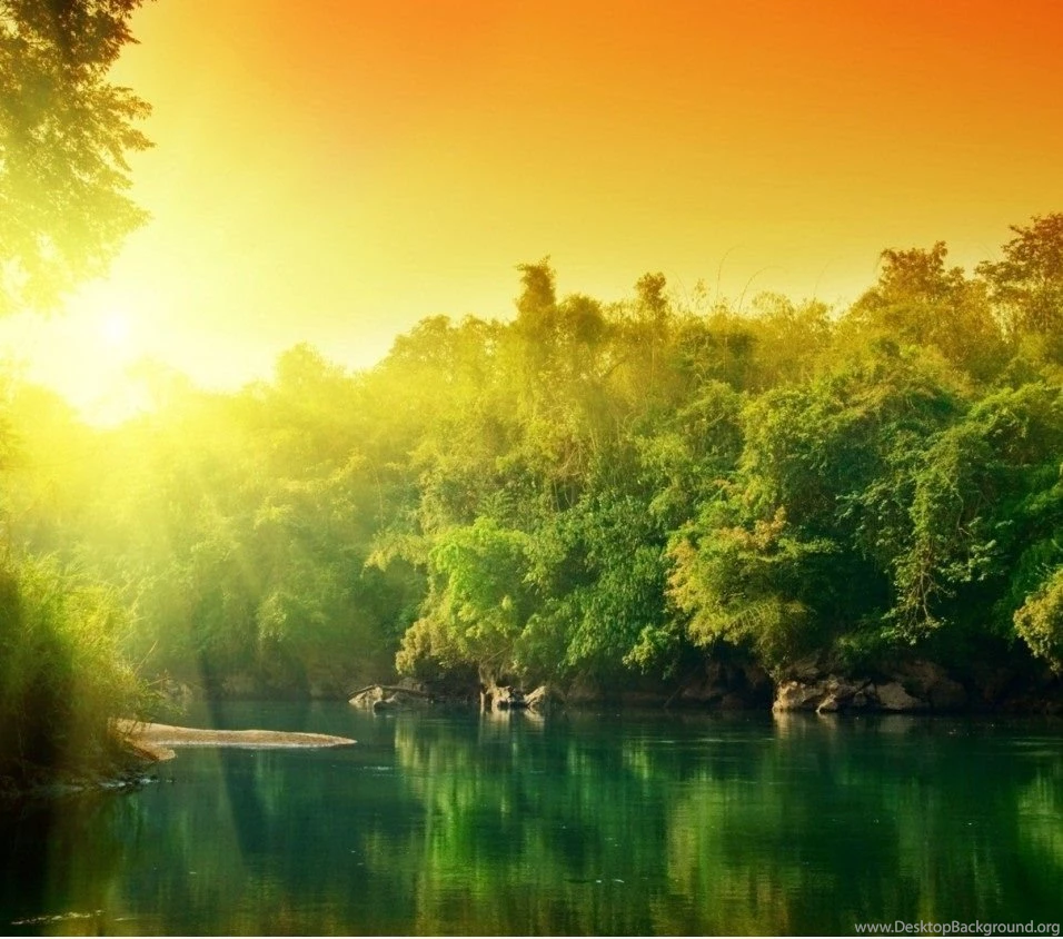 Nature Wallpapers ›› Hd Wallpapers For Mobile