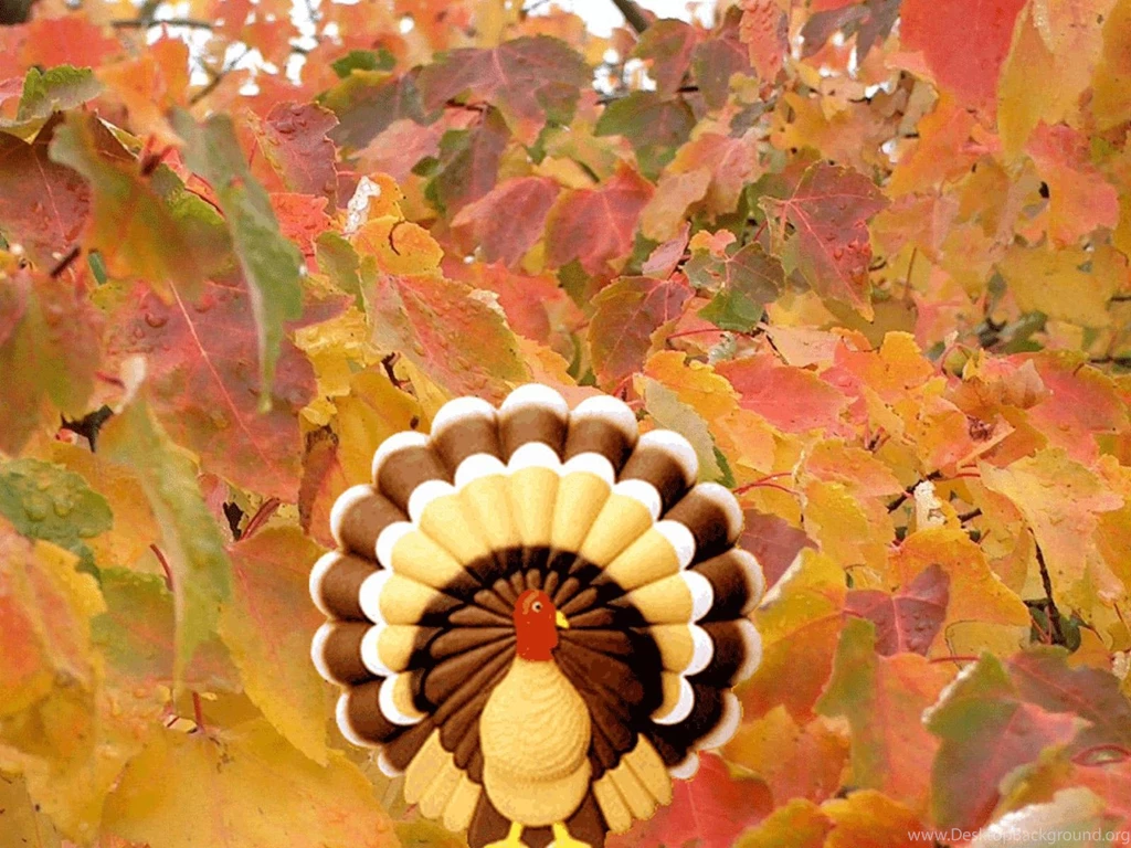 Thanksgiving Turkey Wallpapers Free Desktop Backgrounds Free ...