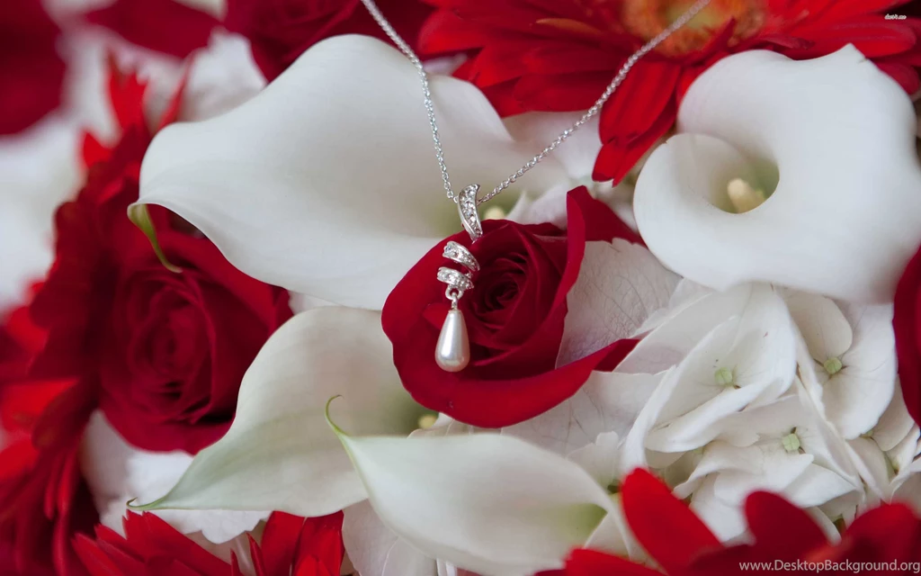 Necklace On Flowers Wallpapers   Photography Wallpapers