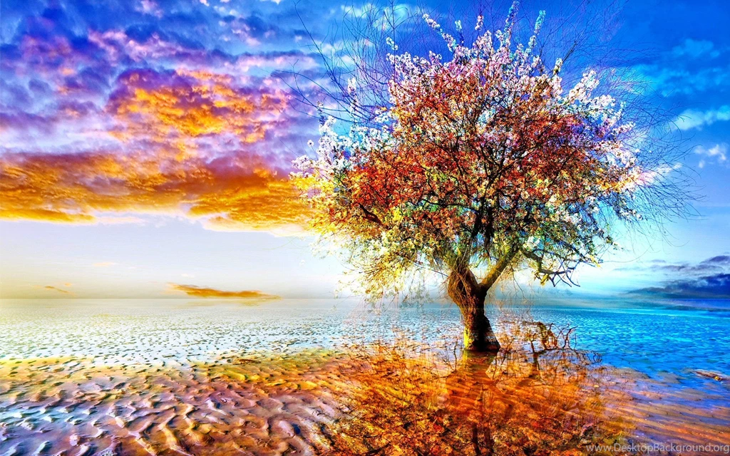 1226 Tree HD Wallpapers