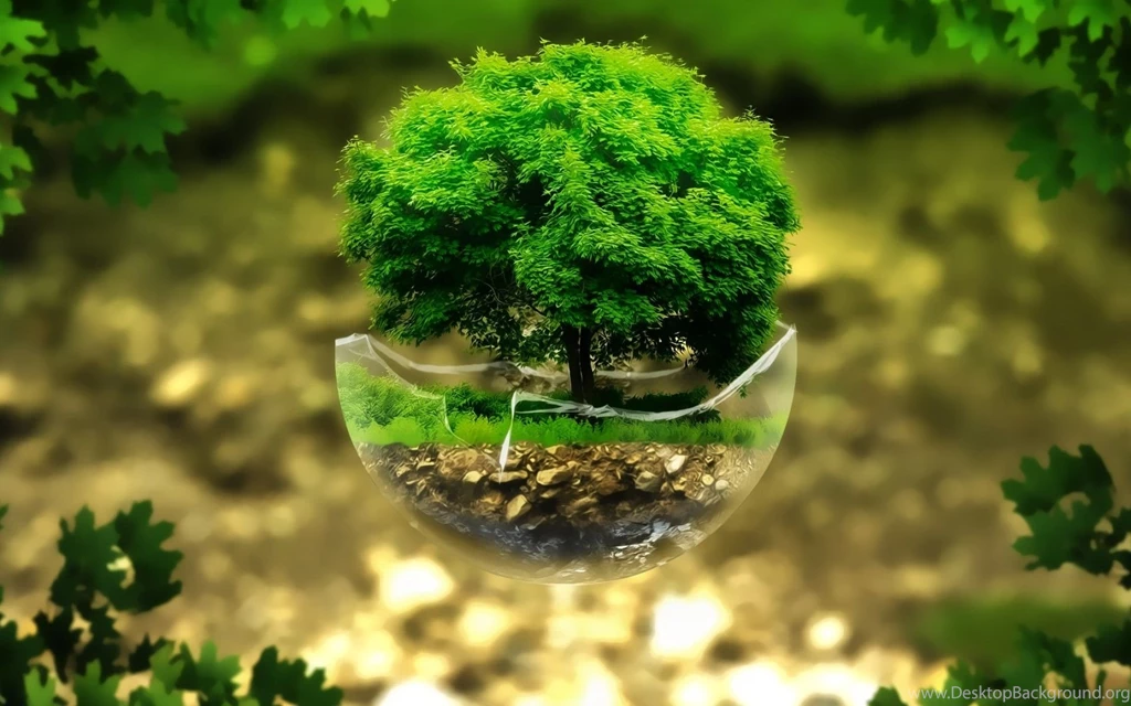 Bonsai tree wallpapers.jpg