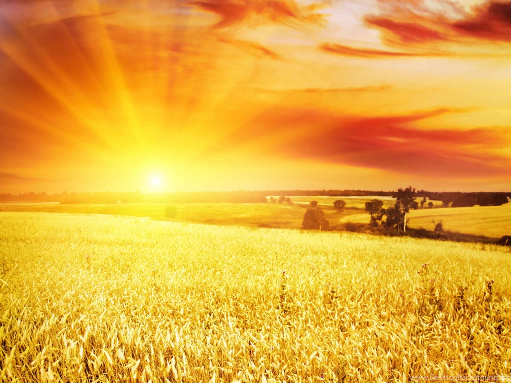 Sunlight Desktop Wallpapers HD Wallpaper Backgrounds Of Your Choice