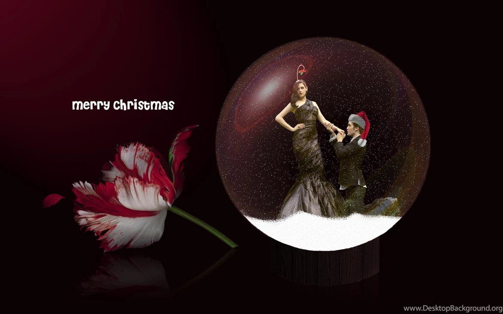 Twilight Saga Wallpapers   21002