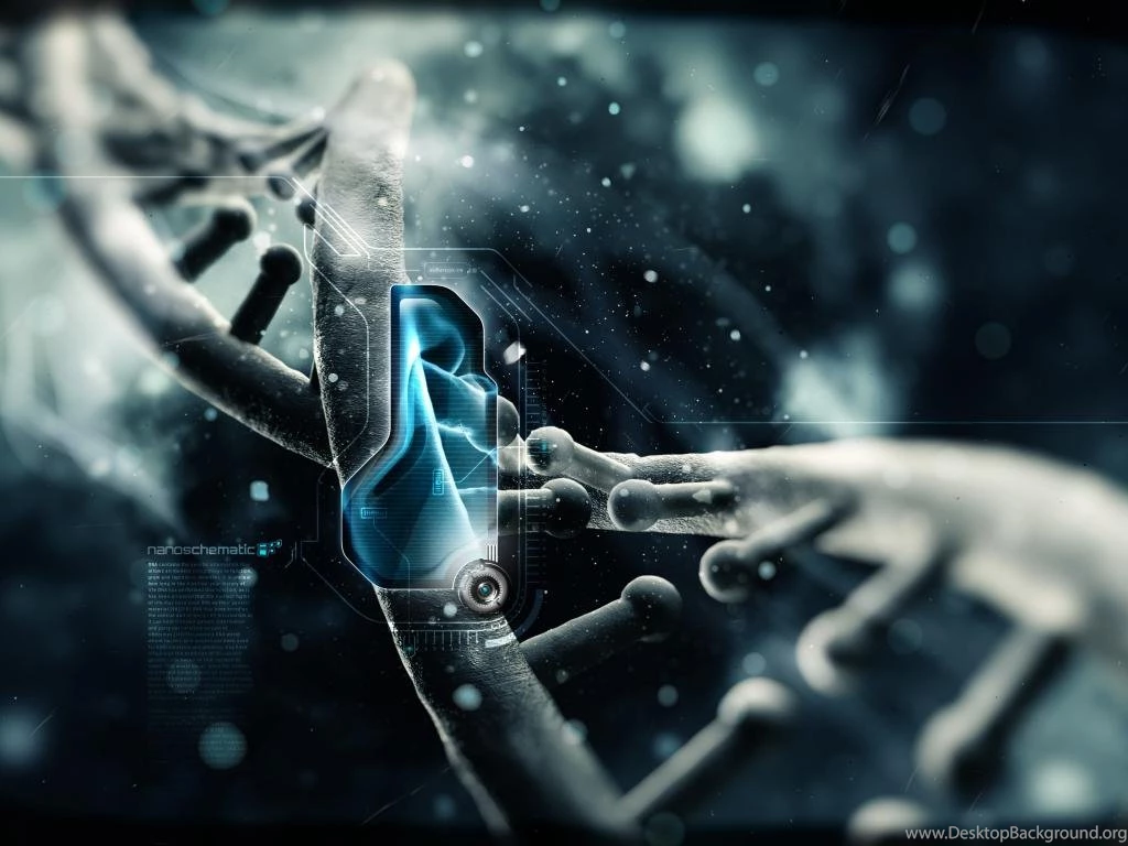 Free Hd Wallpapers (