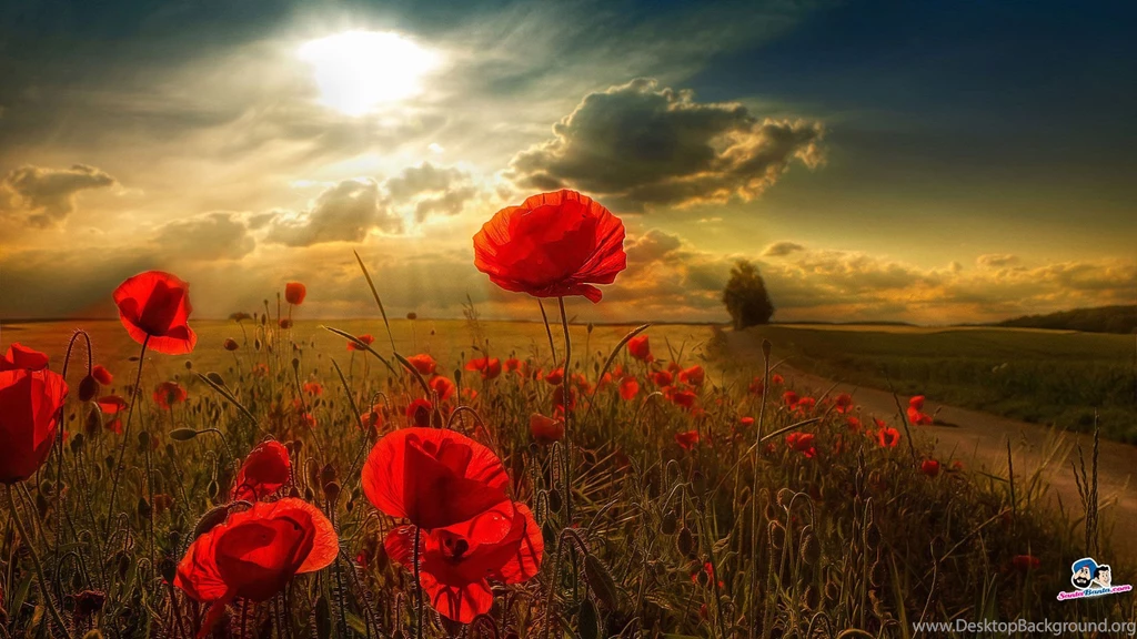 Keep Mailing: [ ::: ♥Keep_Mailing♥ ::: ]™ TC's Sunday Greetings ...