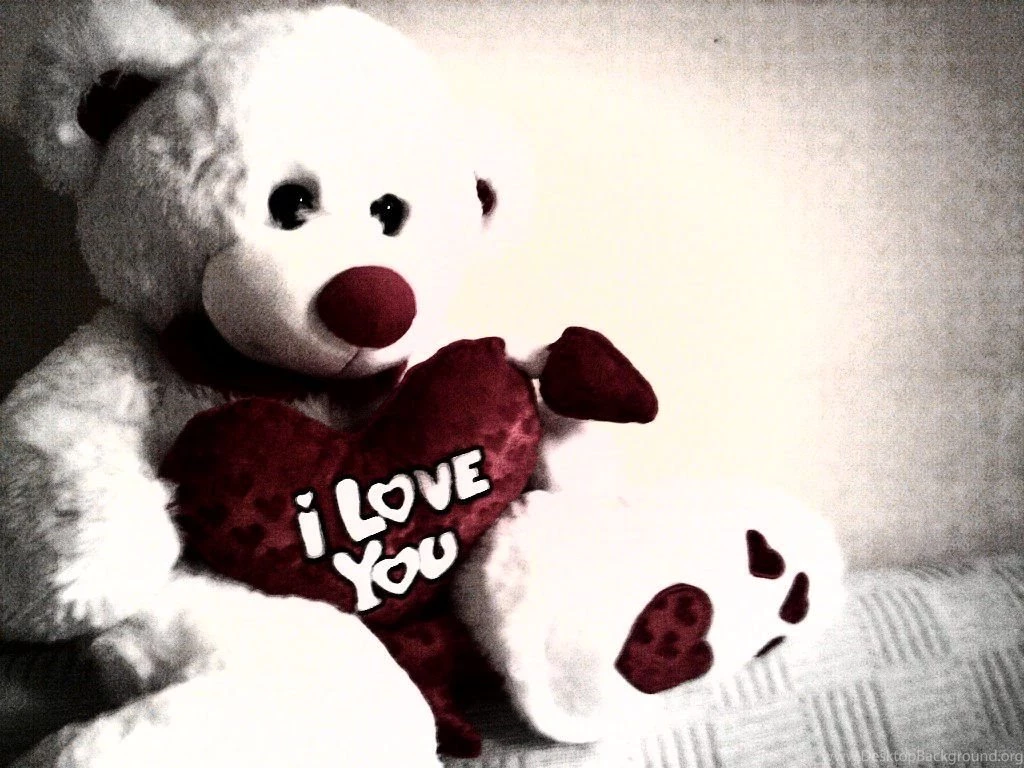I Love You Teddy Bear Wallpapers HD Images New