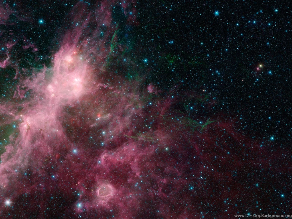 File:Wallpapers Of Life And Death Intermingled.jpg   Wikimedia Commons