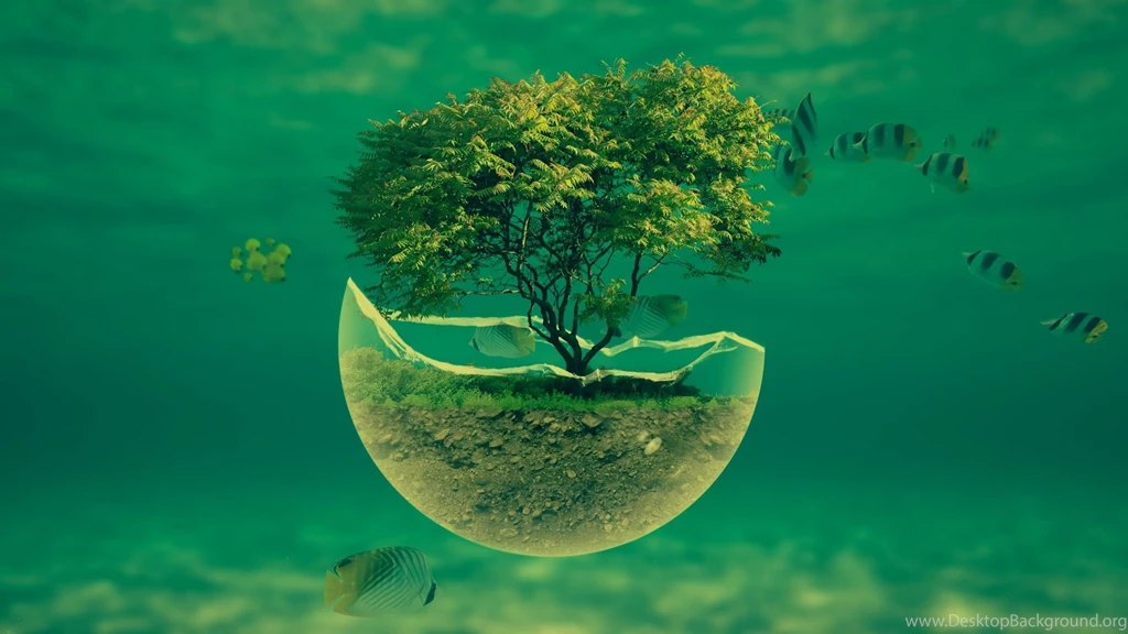 Theme Bin» Blog Archive » Ocean Tree HD Wallpapers