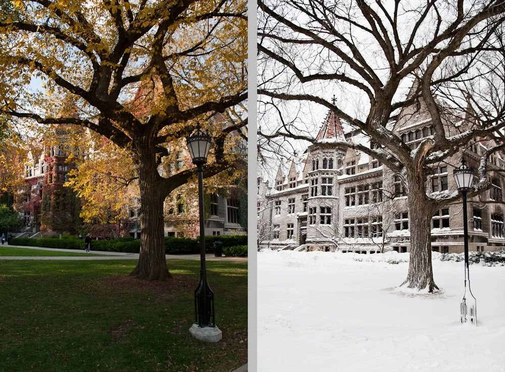 Jamie Manley Photography: UChicago Fall 2011