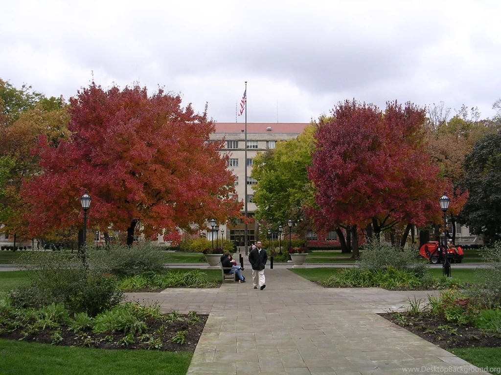 Autumn 2006 In Chicago