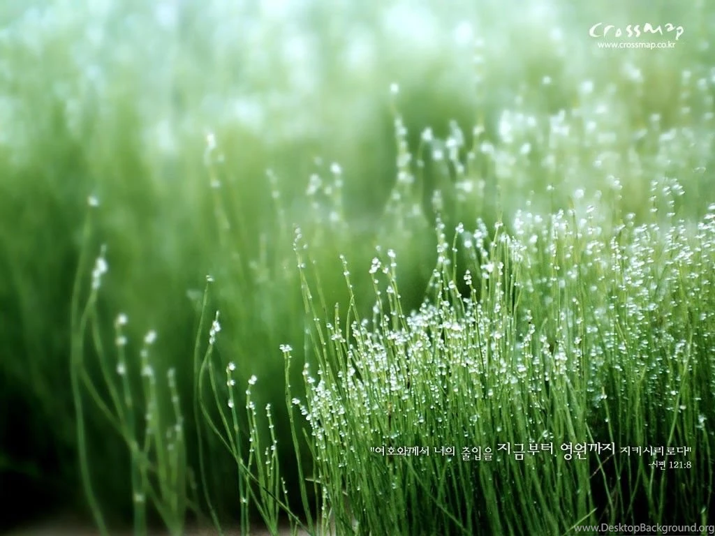 Bible Verses Wallpapers
