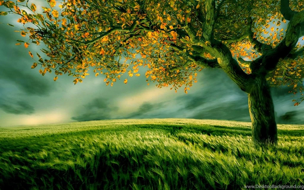 Greenery (id: 81609) – BUZZERG