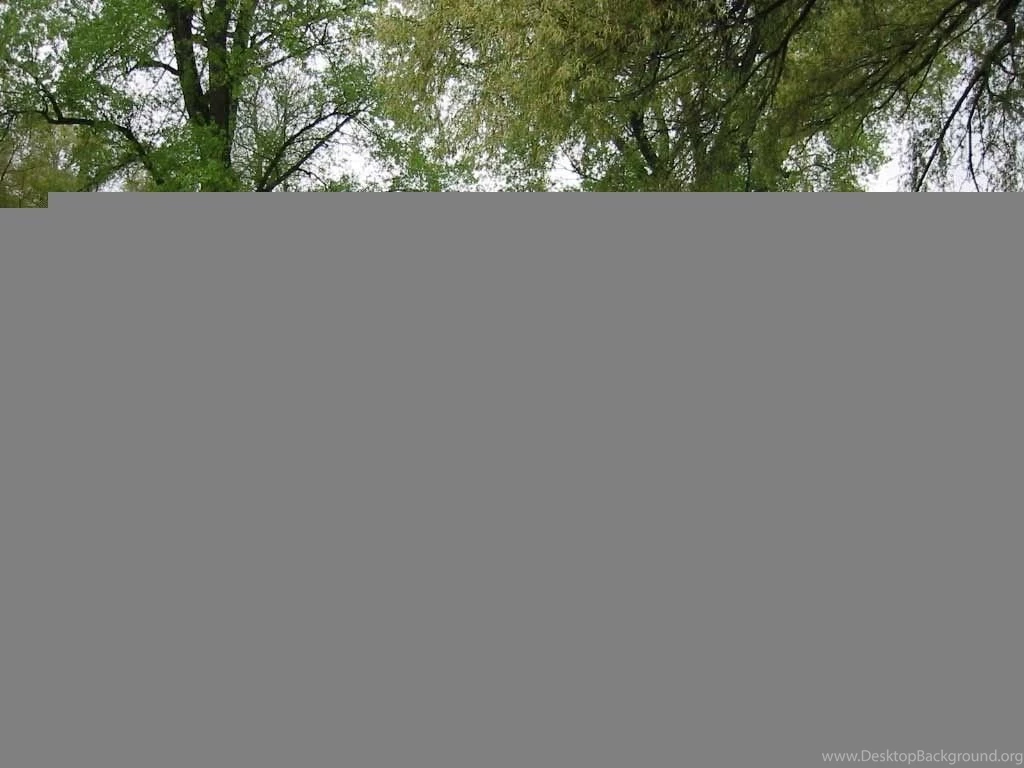 Greenery Wallpapers