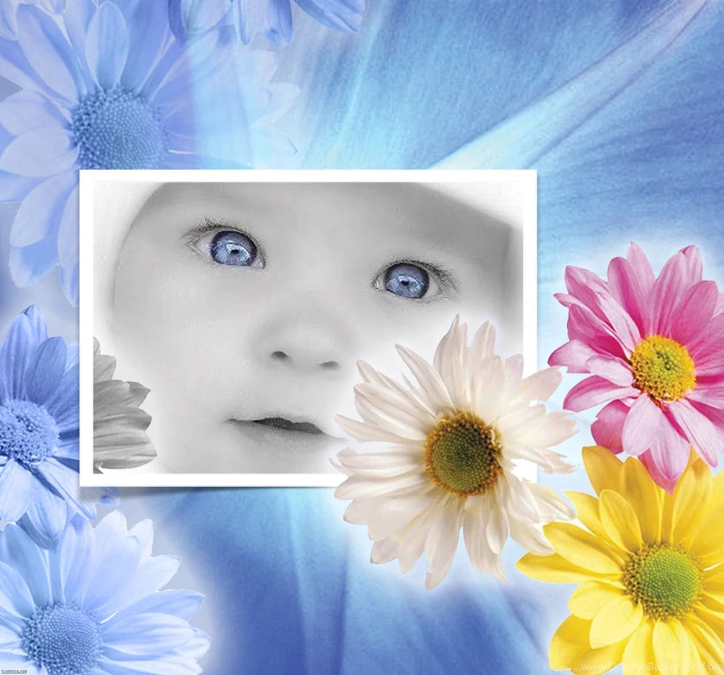 Free Wallpapers Of Babies Wallpapers HD Fine