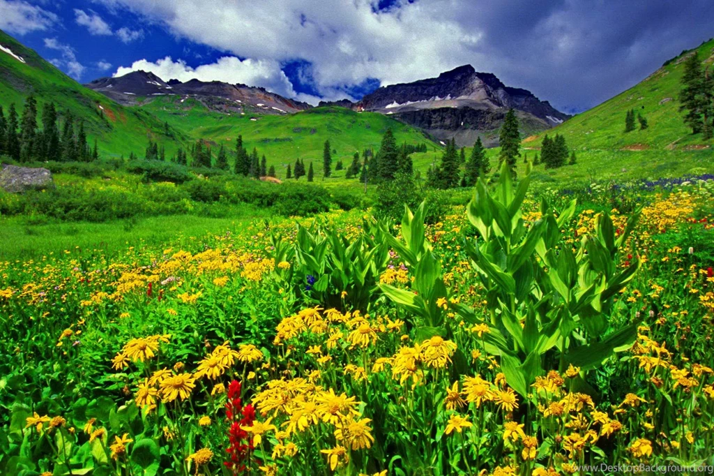 Greenery Wallpapers >> Backgrounds With Quality HD