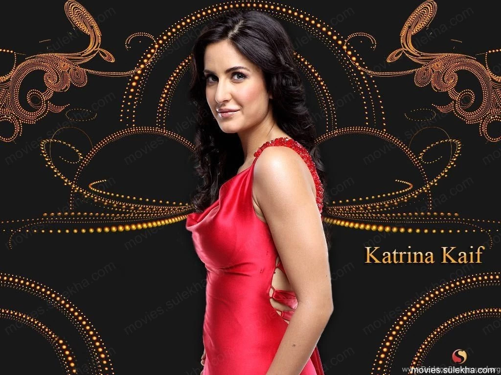 Katrina Kaif Hindi Wallpaper, Katrina Kaif Desktop Picture ...