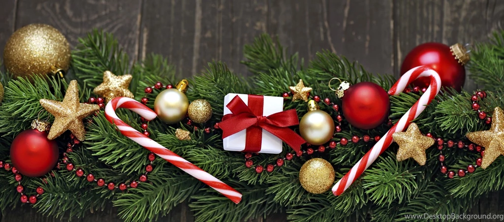 Daisy Nook xmas background iStock_000021988426Large Albion Farm ...
