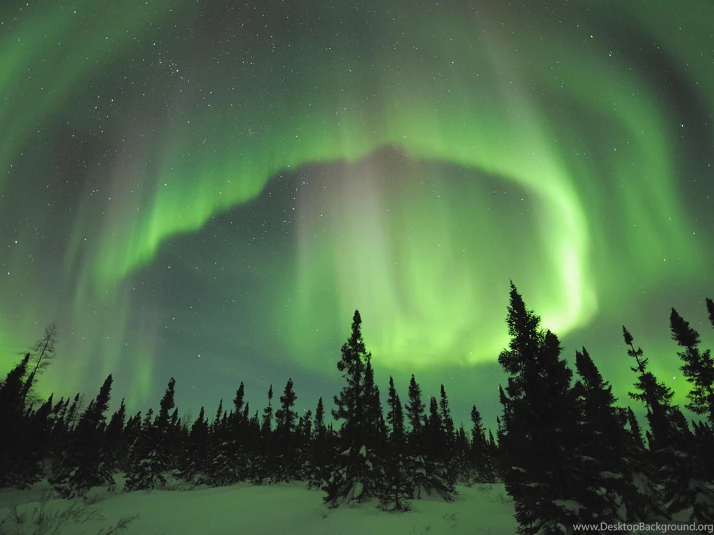 Aurora: Photos And Wallpapers