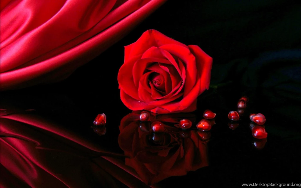 Wallpapers Of Wallpapers Of Red Rose