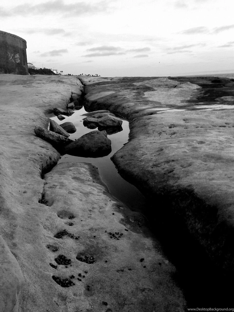 Weekly Wallpaper: Reader Wallpapers Pack 6.0