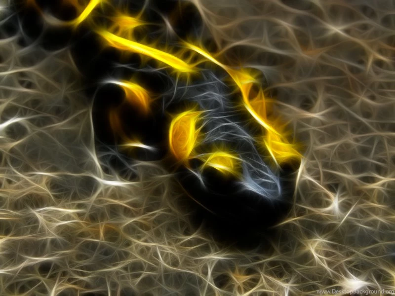 Byrek's DeviantArt Gallery