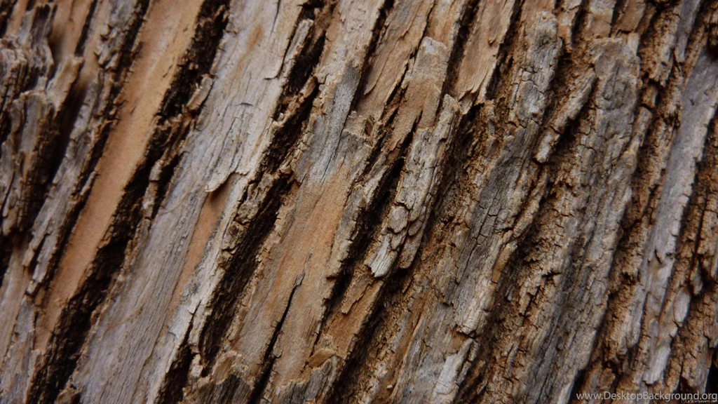 MLeWallpapers.com   Tree Bark I