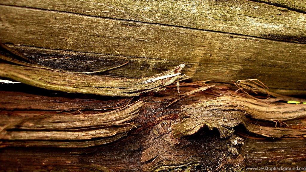 Download Wallpapers 3840x2160 Surfaces, Wood, Old, Bark 4K Ultra HD ...