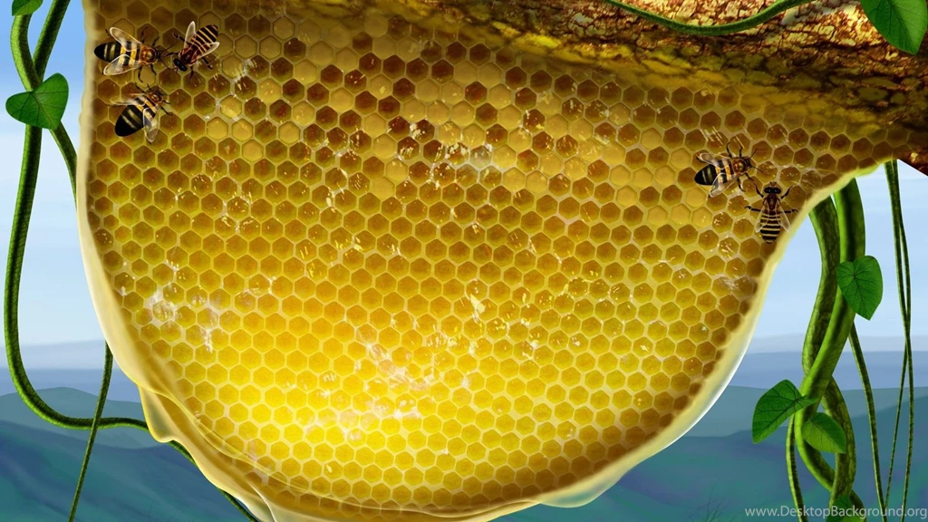 Honeycomb Widescreen Wallpapers