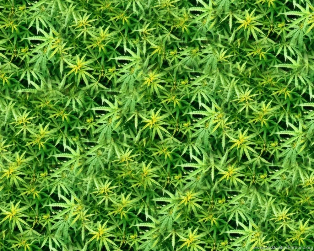 Weed Wallpapers Desktop   Wallpapers Cave