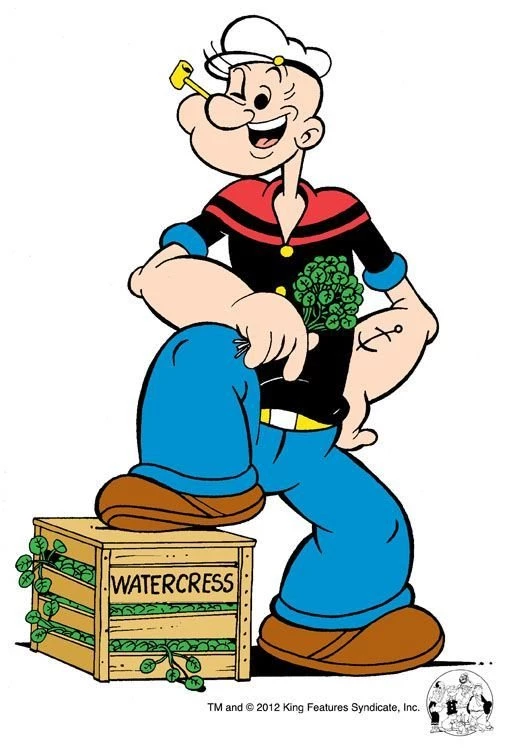 Popeye The Sailor Man Characters