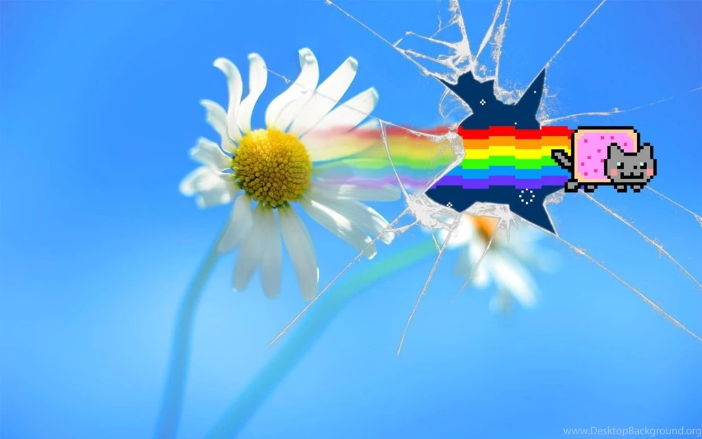 Nyan Cat ''Windows 8'' Wallpapers By Jayro Jones On DeviantArt