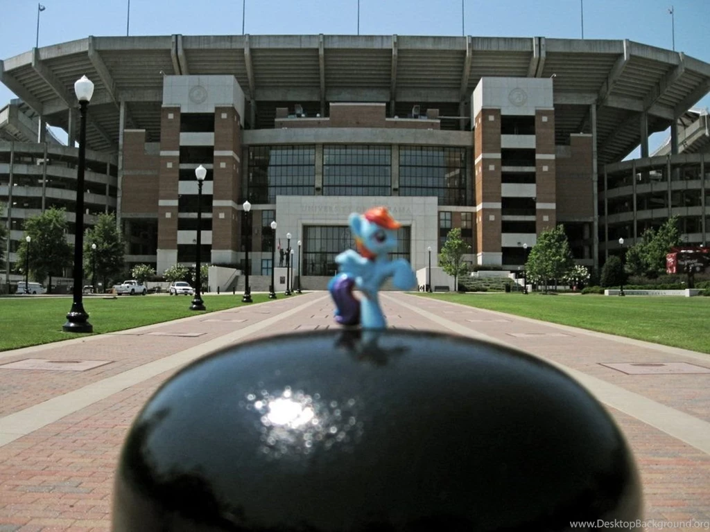 Rainbow Dash @ Bryant Denny Stadium By AlTheJuggernaut On DeviantArt