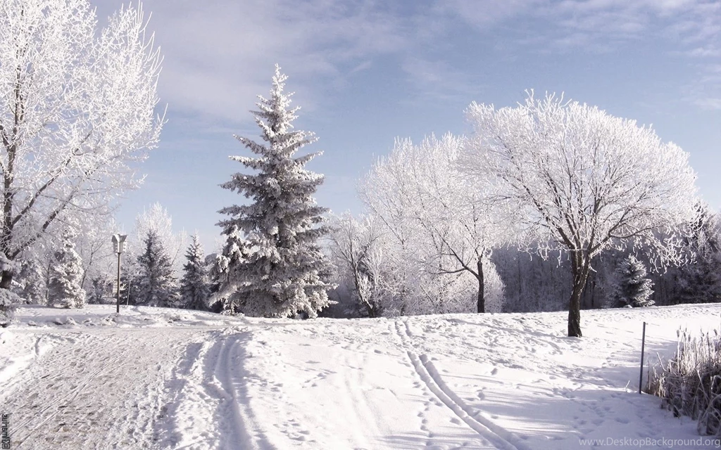Snow Desktop Wallpapers HD Wallpaper Backgrounds Of Your Choice
