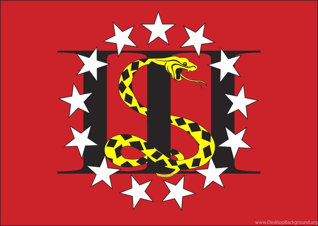 The Snake On The Flag: Three Percent Plus ONE!
