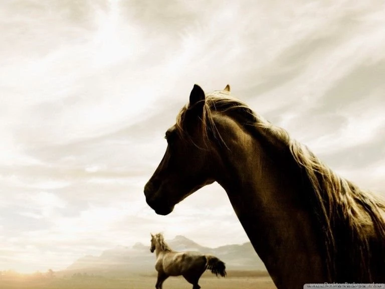 Vintage Horse Wallpapers High Definiton