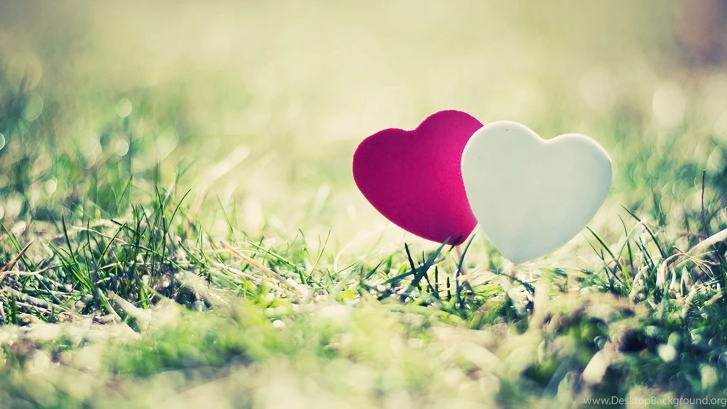 LOVE HD Wallpapers 13