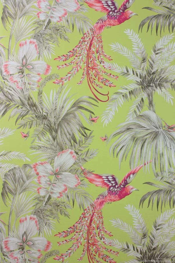News: Bird Of Paradise Wallpapers & Fabric