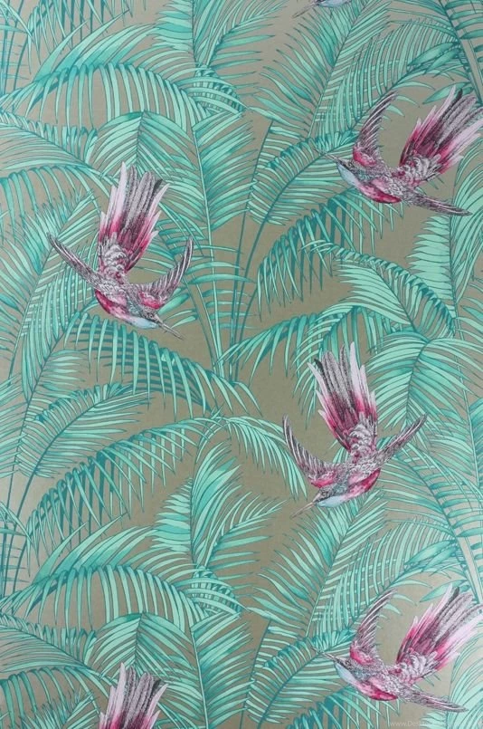 Sunbird Fuchsia And Gold Wallpapers