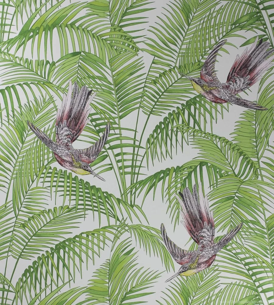 Sunbird Wallpapers By Matthew Williamson