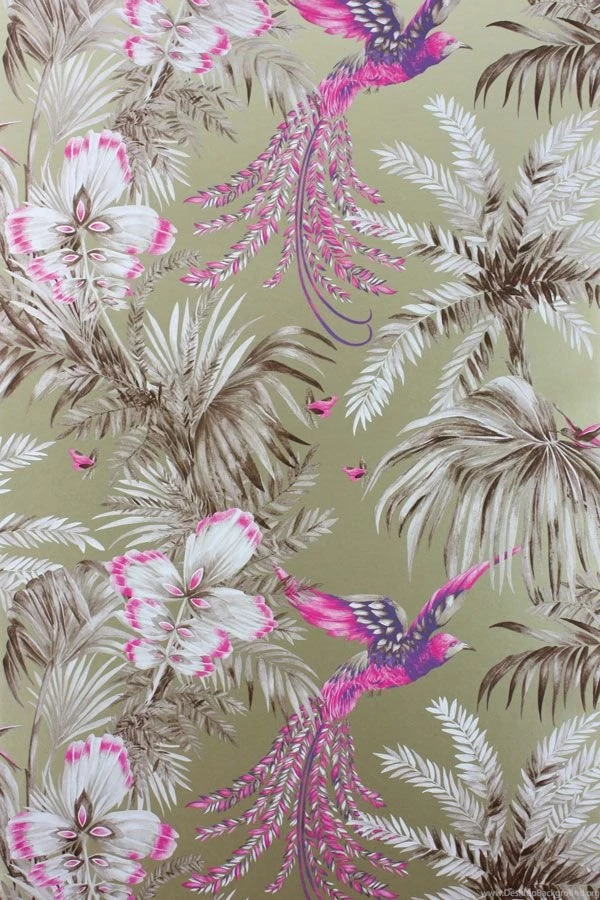 News: Bird Of Paradise Wallpapers & Fabric