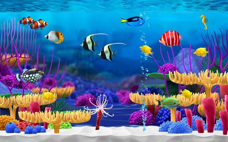 App Shopper: Aquarium Screensaver (Entertainment)