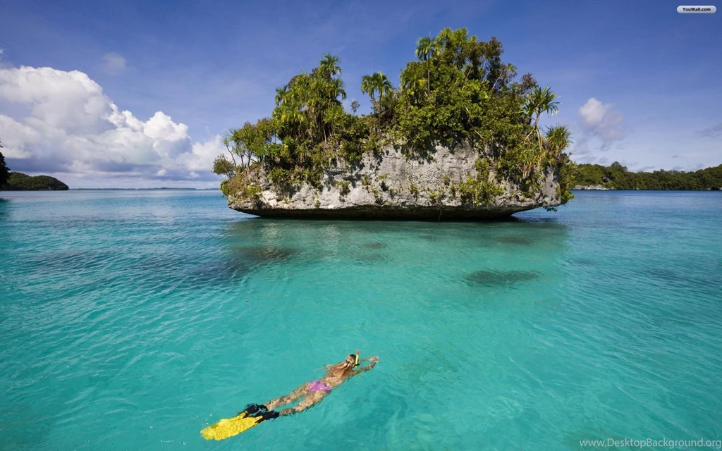 YouWall Diving In Paradise Wallpapers Wallpaper,wallpapers,free ...