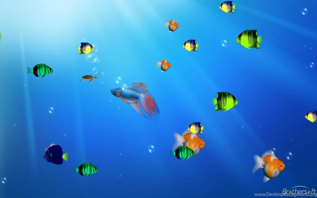 Ocean Life Aquarium Wallpapers Download Hd Wallpapers From Hd Life ...