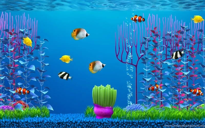 Aquarium Screensaver Lite On The Mac App Store