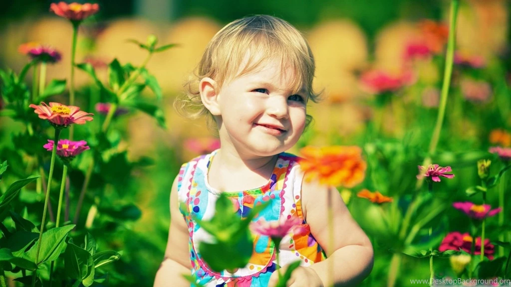 Cute Baby Girl In Zinnia Flowers Hd Wallpapers
