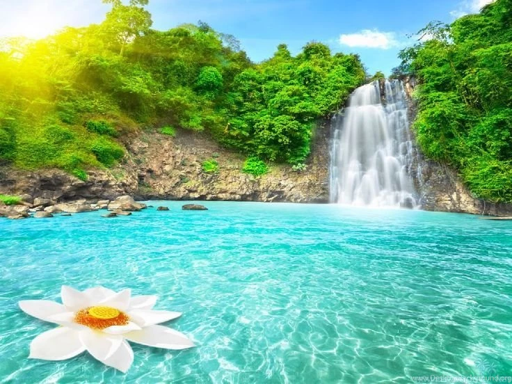 Nature Paradise Wallpapers HD Desktop