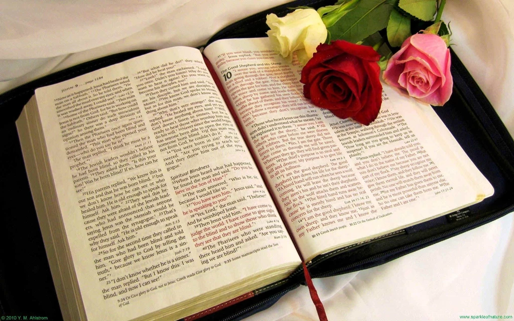 Bible And Roses Wallpapers 162142