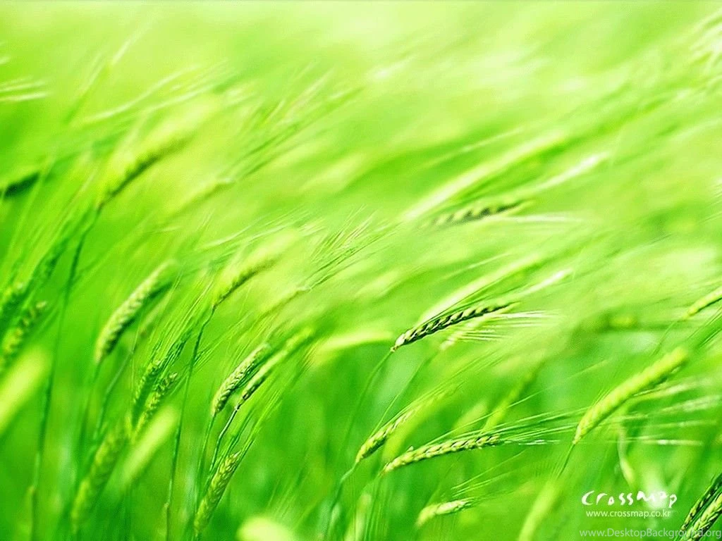 Scenery Wallpapers With Bible Verses 1024x768 NO.33 Desktop ...